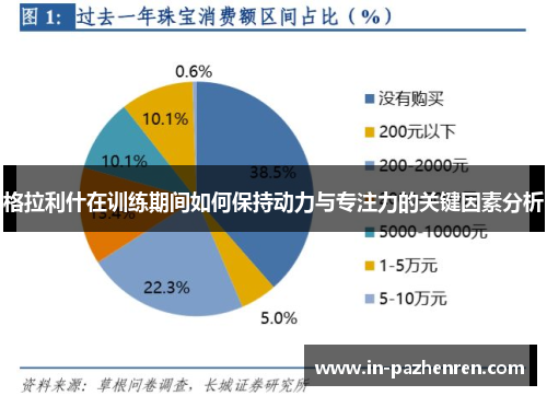 格拉利什在训练期间如何保持动力与专注力的关键因素分析