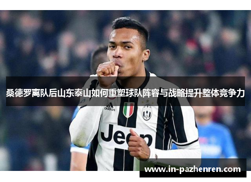 桑德罗离队后山东泰山如何重塑球队阵容与战略提升整体竞争力