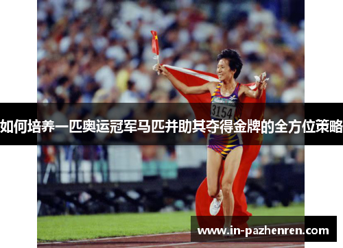 如何培养一匹奥运冠军马匹并助其夺得金牌的全方位策略