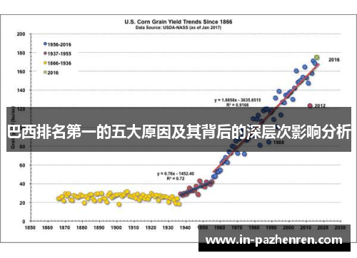 巴西排名第一的五大原因及其背后的深层次影响分析