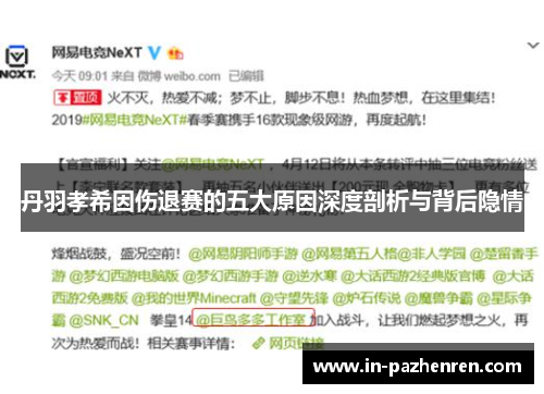 丹羽孝希因伤退赛的五大原因深度剖析与背后隐情